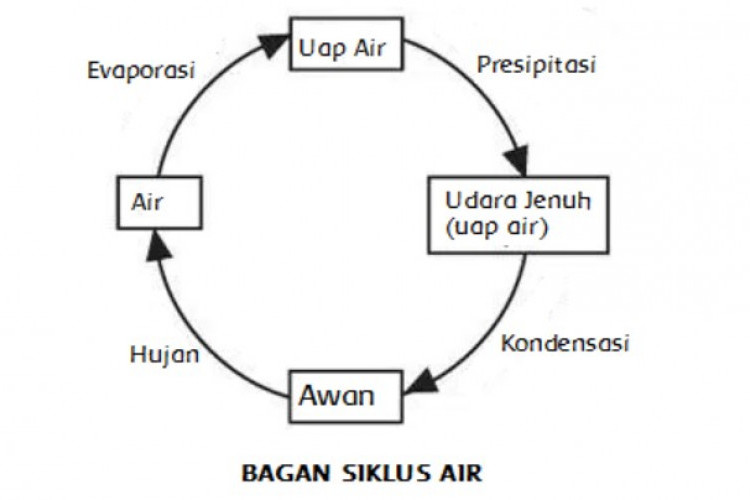 Contoh Soal Materi Siklus Air Disertai Jawaban dan Pembahasan Lengkapnya