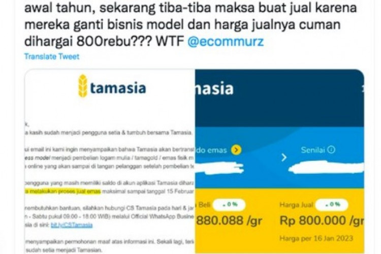 Heboh! Pengguna Tamasia Merugi Investasi Emas Ilegal, Kok Masih Ada yang Tertipu?