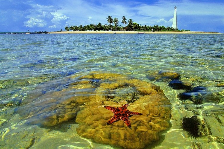 Pemekaran Pulau Kalimantan Dapat Lampu Hijau, Ternyata di Awal Kemerdekaan Cuma Terdiri Dari 1 Provinsi 