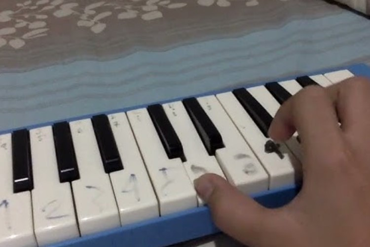 Contoh Not Angka Pianika Lagu Pelangi Pelangi Ciptaan Tuhan Buat Pemula Lengkap Dengan Liriknya 