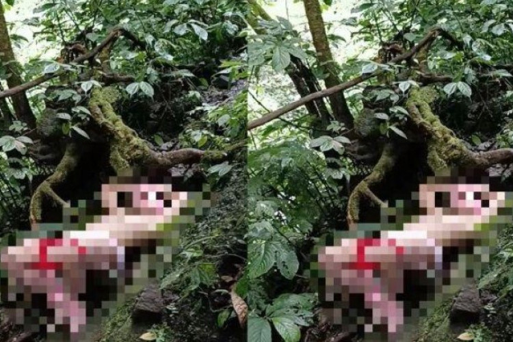 Video Pria BDSM di Air Terjun Coban Glotak Malang Viral Sosial Media, Alasan Syarat Mantan Pacar Agar Mau Balikan
