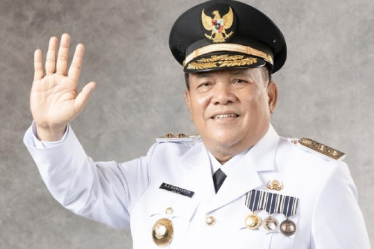 Profil dan Biodata Lengkap Ir. H. S.F. Hariyanto, M.T : Dari Honorer PU hingga Wakil Gubernur Riau