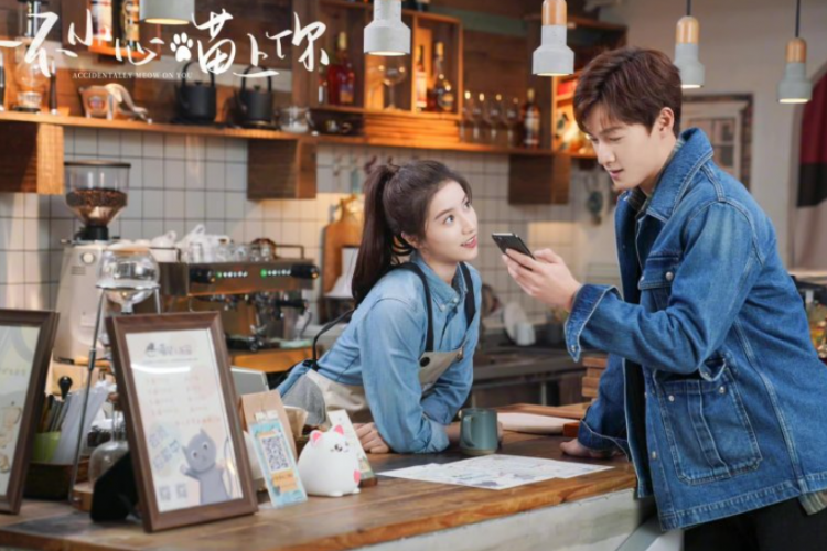 Nonton Drama China Accidentally Meow on You (2022) Episode 19-20 Sub Indonesia, Lengkap dengan Jadwal Rilisnya