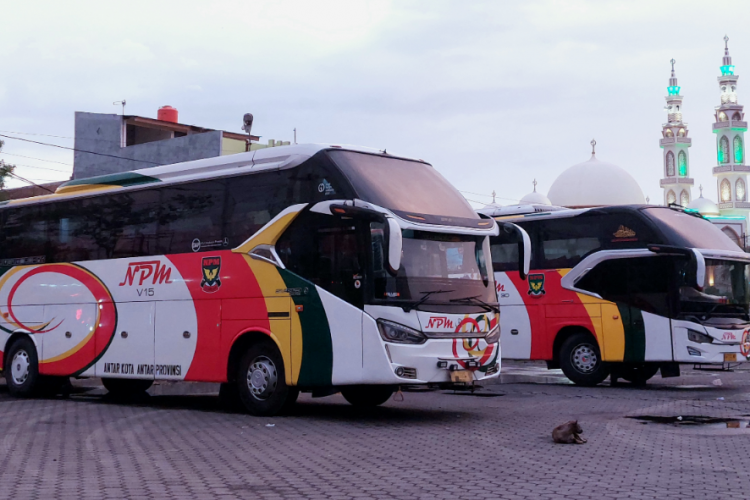 Rekomendasi Bus & Travel Medan Bukittinggi PP, Armada Terbaik dan Harga Dijamin Murah