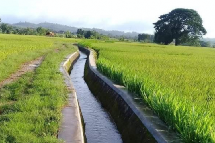 Irigasi Merupakan Contoh Pemanfaatan Sungai dalam Bidang Apa?