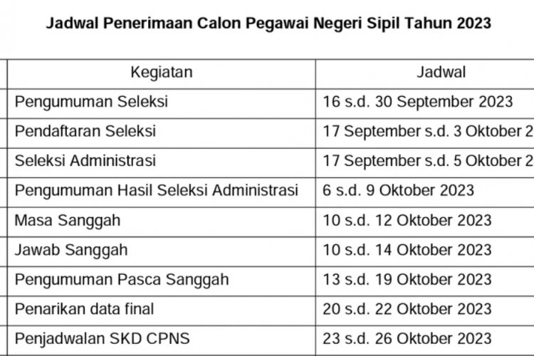 Cara Mudah Cek Hasil Seleksi CPNS dan PPPK 2023, Lengkap Beserta Cara Penyanggahan!