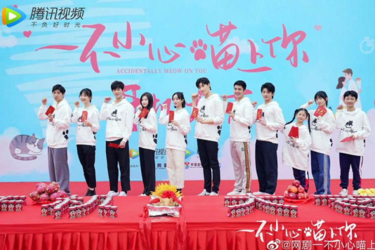 Daftar Pemain Drama China Accidentally Meow on You (2022), Serial Romantis yang Baru Tayang di VIKI