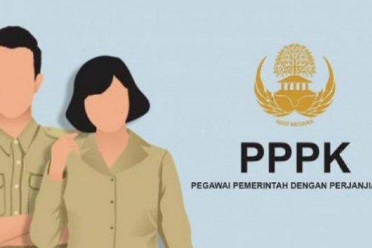 Contoh Soal PPPK P3K Terbaru 2023 Pilihan Ganda Beserta Kunci Jawaban, Auto Lulus Tahap Berikutnya