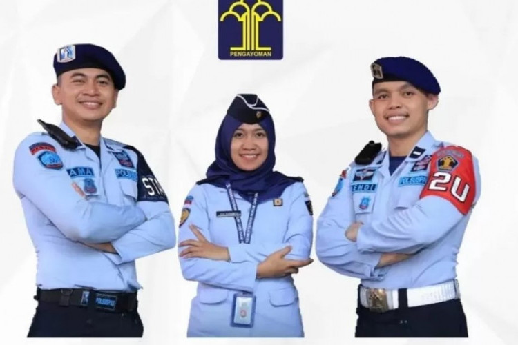 Formasi CPNS 2023 Lulusan SMA, Ada Beberapa Instansi yang Sudah Dikonfirmasi Terbuka!