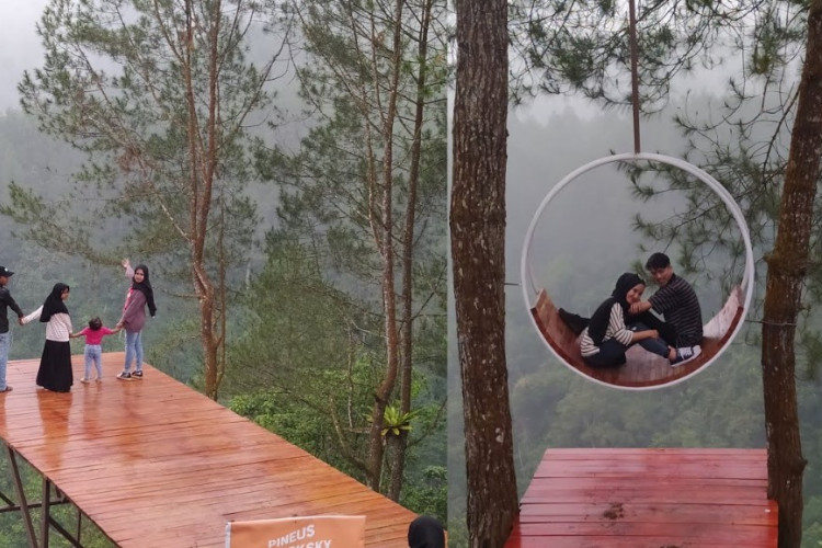 Harga Tiket Masuk Pineus Forest View Garut-Tasikmalaya Terbaru 2023, Spot Foto Instagramable dengan Pemandangan Alam