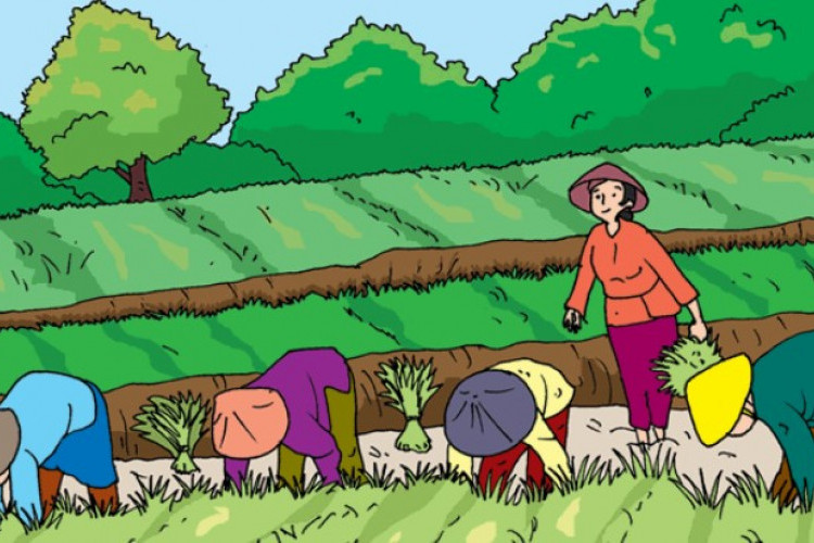 Kumpulan Gambar Manusia dengan Alam Sekitarnya, Pemandangan Pegunungan dan Sawah yang Indah