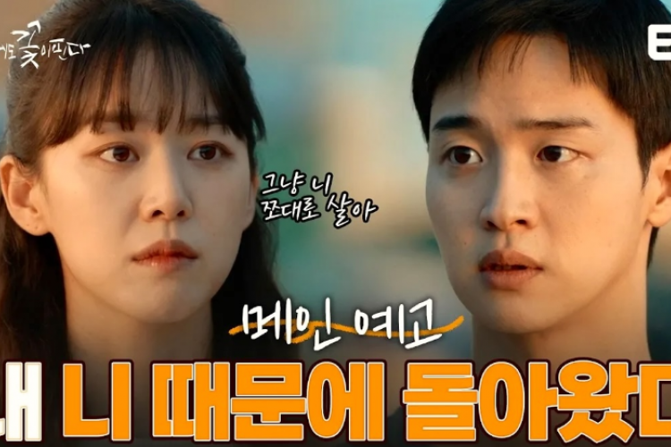 Nonton Drakor Like Flowers in Sand (2023) Sub Indo Full Episode 1-12, Kisah Pegulat Pensiun yang Dibintangi Jang Dong Yoon