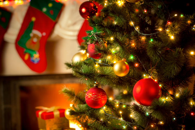 Inilah Tujuan Perayaan Natal Setiap Tahunnya Pada Tanggal 25 Desember, Kamu Wajib Tahu!