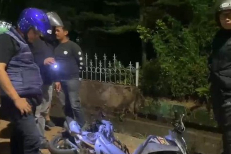 2 Pria Diserang Geng Motor di Makassar Saat Nongkrong, 1 Orang Tewas Kini Pelaku Ditahan Kepolisian!
