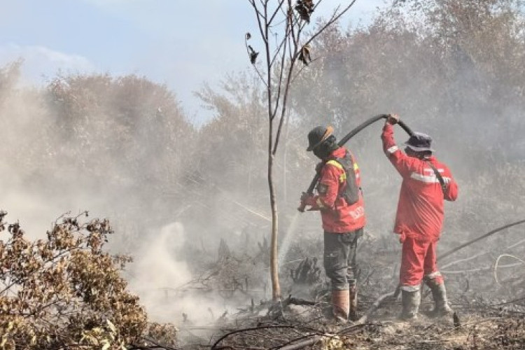 Langkah Taktis Pemerintah Atasi Karhutla Kalimantan yang Kian Meluas: Strategi Udara Lewat Rekayasa Cuaca