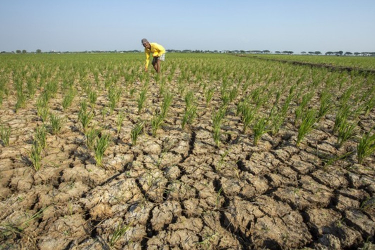42 Desa di Pandeglang Alami Kekeringan Selama 5 Bulan Tercatat 24 Ribu Warga Tak Dapat Akses Air Bersih