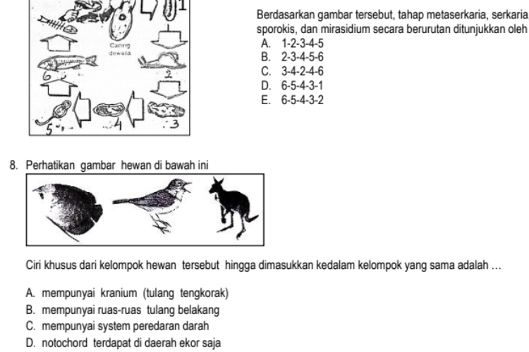 Link PDF Kumpulan Soal PTS Biologi Kelas 10 SMA/ MA Tahun 2023 Lengkap