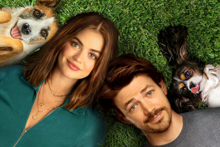 Nonton Film Puppy Love (2023) SUB INDO Full HD 1080p, Janji Nicole dan Max dalam Hubungan Asmara yang Tak Terduga