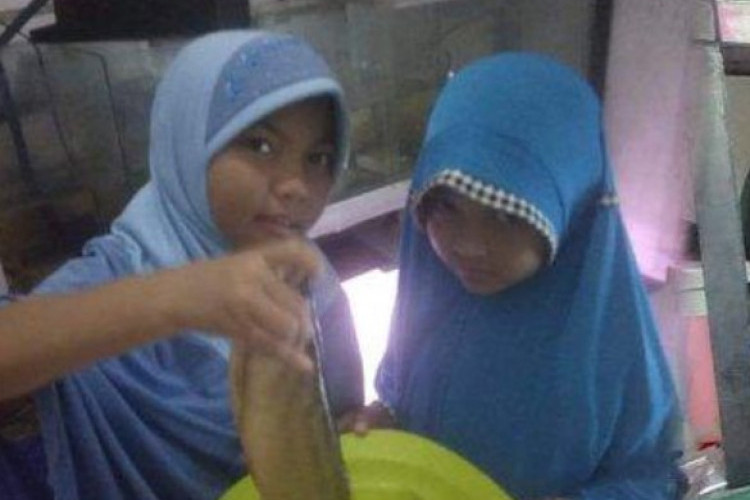 Ikan Arwana Rp15 Juta Dimasak Anak, Digoreng Kering Karena Rasa Penasaran!