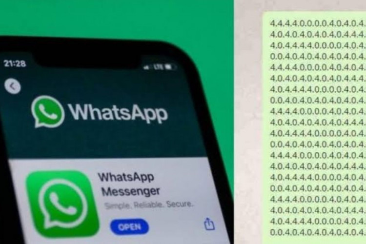 Apa Itu Video Virtex WhatsApp? Mengenal Lebih Jauh Tentang Bahaya dan Cara Mengatasi