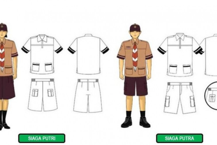Baju Pramuka SD Putra-Putri, Disertai dengan Atribut Lengkapnya