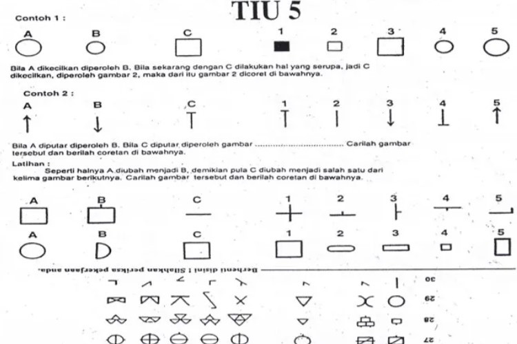 Link Download Soal Psikotest Tiu 5 Terbaru Tahun 2023 Lengkap Dengan Kunci Jawabannya 