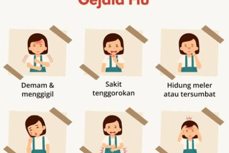 Mengenal Influenza A: Kenali Gejala, Karakteristik, dan Tanda Bahaya yang Wajib Diwaspadai