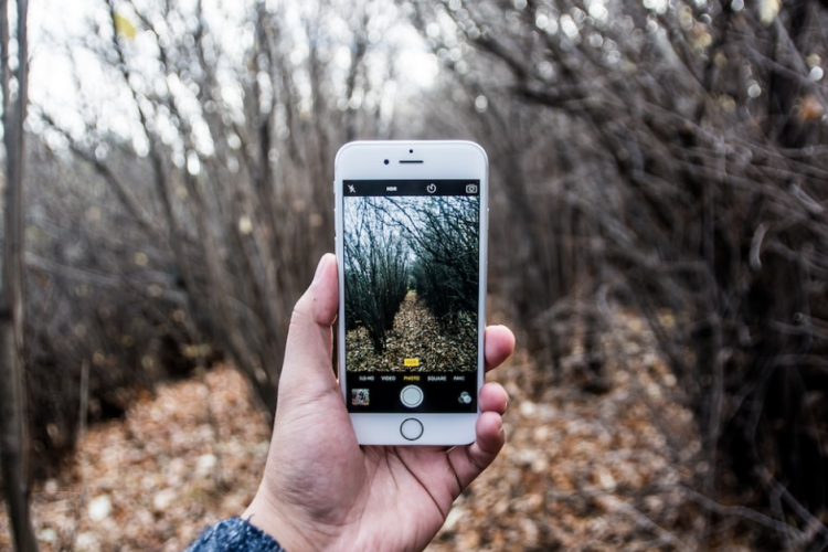 3 Cara Mengembalikan Foto yang Sudah Terhapus Permanen di iPhone, Dijamin Gampang Banget dan 100% Work