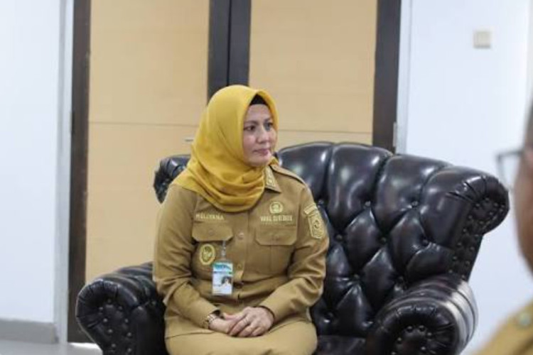 Profil Hellyana Wakil Gubernur Babel, Diberhentikan Masa Kerjanya oleh Prabowo Usai Kasus Ijazah Viral!