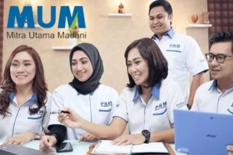 Kumpulan Loker PT Mitra Utama Madani 2023 Fresh Graduate, SMK/SMA Sederajat hingga S1