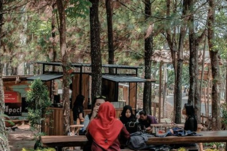 Daya Tarik Wisata Wanus Kediri, Jadi Spot Ngopi Aesthetic Andalan Anak Muda Buat Healing 