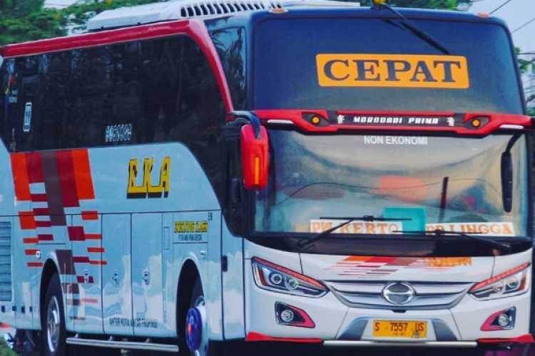 Daftar Bus Travel Karawang - Cirebon Terbaik 2023 : Jadwal Keberangkatan, Tarif Tiket Hingga Kontak Agen LENGKAP