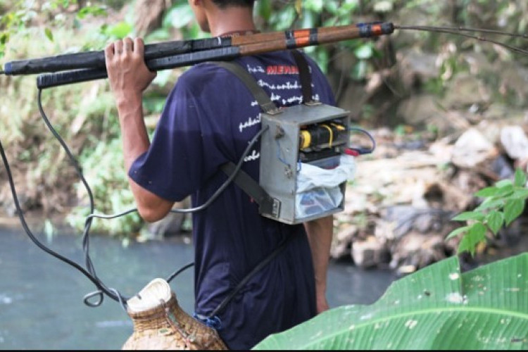 Cara Membuat Setrum Ikan Kedalaman 2 Meter, Pahami Persiapannya Agar Tidak Melanggar UUD!