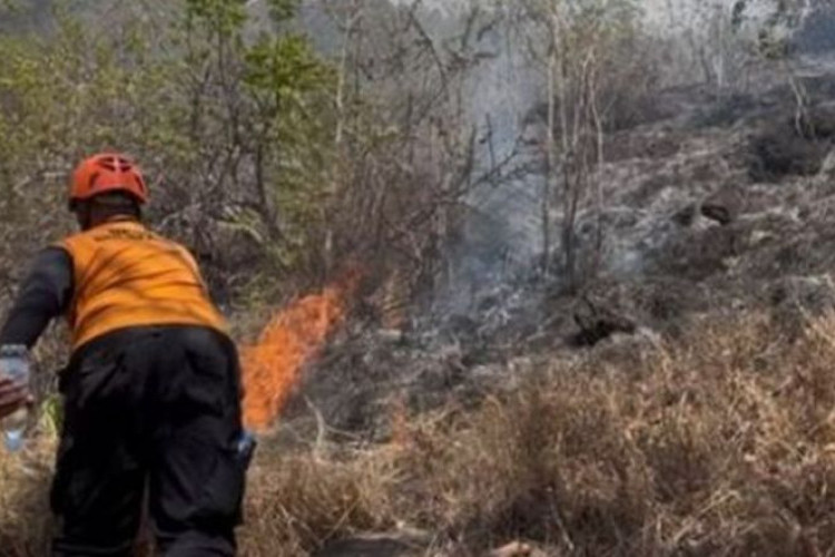 Waspada Kemarau Panjang, BPBD Ponorogo Catat Lonjakan Titik Api Karhutla di 3 Kecamatan