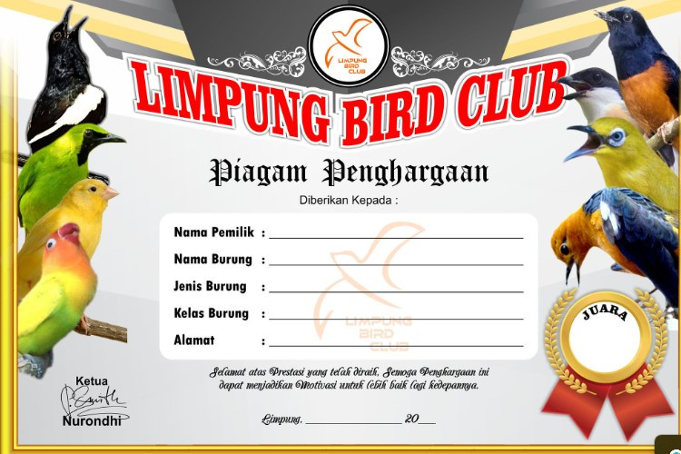 7 Contoh Gambar Sertifikat Lomba Burung Yang Bisa Kamu Jadikan Referensi