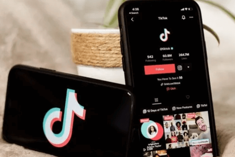 Cara Melihat Link TikTok Sendiri Terbaru 2025, Coba Ikuti Langkah-Langkah Ini Biar Gak Penasaran!