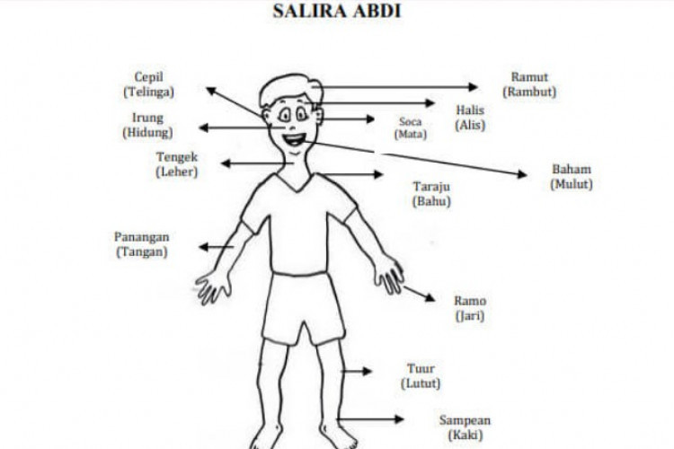 Daftar Nama Anggota Tubuh Dalam Bahasa Sunda, Mulaidari Rambut hingga Kaki 
