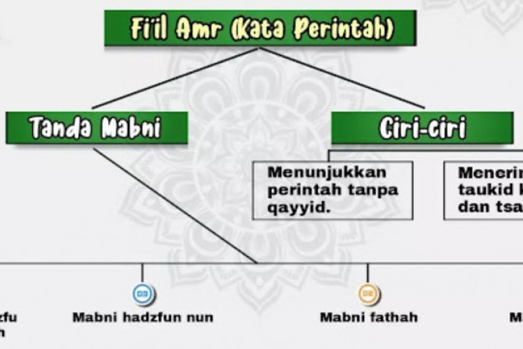 Mengenal Fiil Amar: Definisi, Penjelasan, dan Pembagian Menurut Ilmu Nahwu