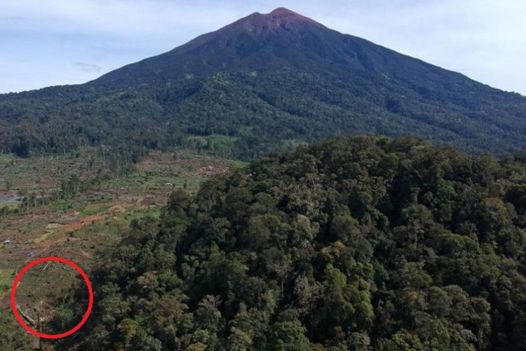 Ada Kerajaan Gaib Orang Bunian di Tengah Hutan Bukit Barisan Sumatera Barat, Benarkah Cuma Mitos Belaka?