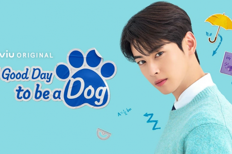 Nonton Drama A Good Day to Be a Dog (2023) Episode 1 Subtitle Indonesia, Rahasia Jin Seo Won yang Tak Pernah Terungkap