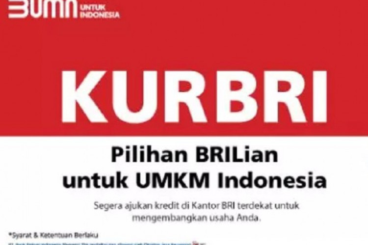 Pinjam Dana KUR BRI 2023 Tapi Tidak Punya Usaha Apakah Bisa? Cek Informasinya di Sini!