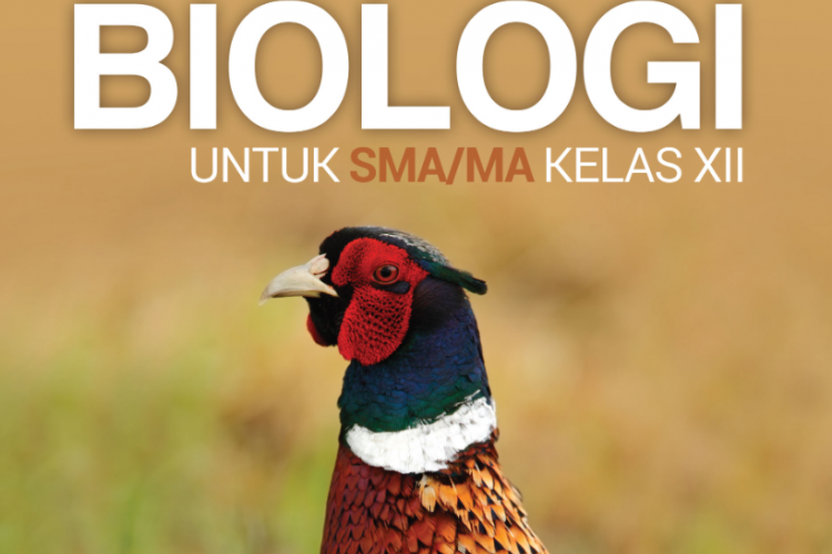 Kumpulan Contoh Soal UAS Biologi Kelas 12 SMA/SMK/MA Tahun Ajaran 2022/2023 dan Pembahasannya