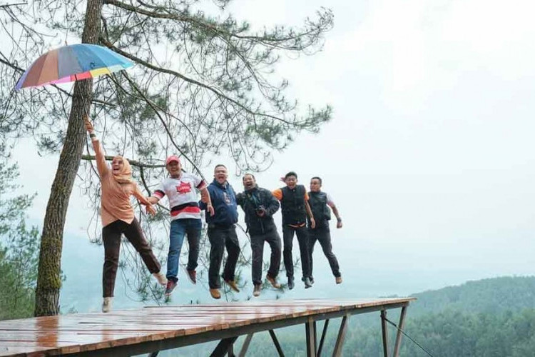 Lokasi Wisata Pineus Forest View Garut-Tasikmalaya, Rekomendasi Tempat Liburan dengan Pesona Alam yang Mengagumkan