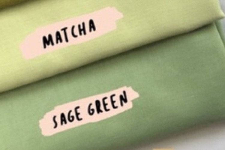 Mirip Banget! Perbedaan Warna Matcha dengan Sage Green, Kalo Bukan Cewek Susah Bedain Nih!
