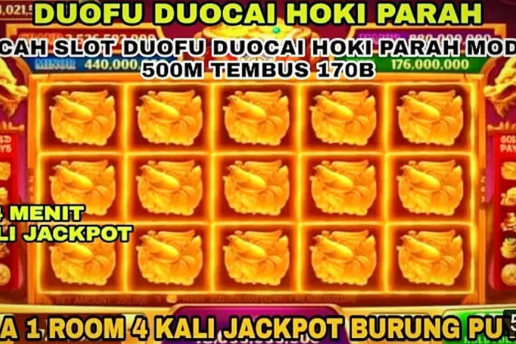 Trik Jitu Cara Mendapatkan JP Burung Room Higgs Domino, Mudah Banget Ternyata Cek Disini!