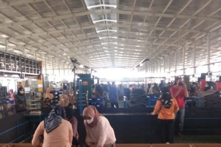 Video Viral PT Longrich Cirebon Buat Warganet Penasaran, Asli Atau Hoax? Ternyata Begini Fakta Skandal Panas TKA