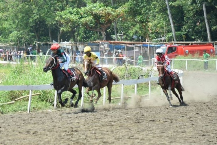 Event Kebumen 2023, Jangan Lewatkan Tradisi Pacuan Kuda yang Sudah Eksis Sejak Tahun 1956!