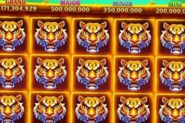 Pola Room Panda Higgs Domino Jackpot Full Harimau Hanya 3 Menit Saja!