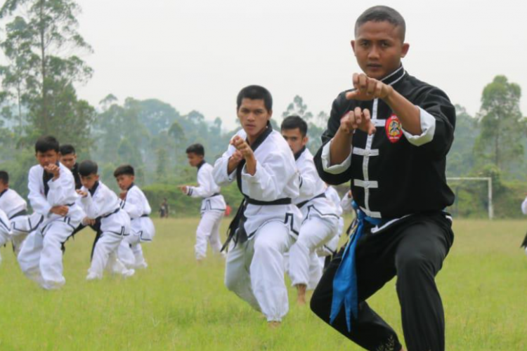 Mengenal Gaya Pasang IKSPI Kera Sakti dan Jenis-Jenisnya, Permudah Untuk Latihan