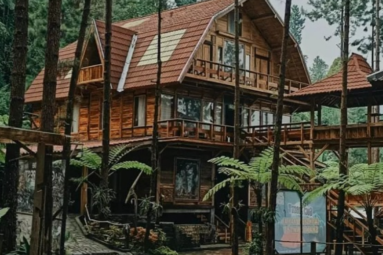 Harga Sewa Villa di Wisata Guci Forest Tegal Jawa Tengah Tahun 2023, Staycation Asyik Sambil Menikmati Pemandangan Alam